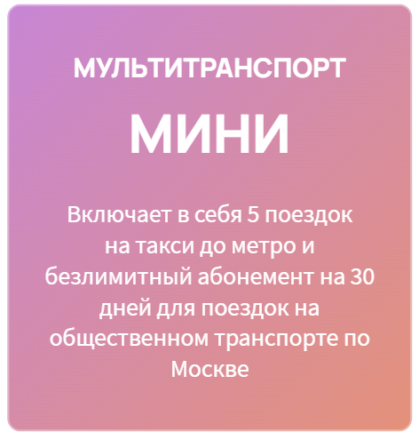 МультиТранспорт Мини